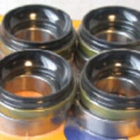 PIVOT WORKS - Bearings and lip seals.