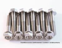 SCAR - Titanium schroeven van Graad 5 Ti-6Al-4V