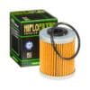 1000487-1-800Wx800H HIFLOFILTRO Oliefilter - HF157