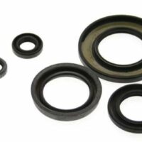 1003208-1-800Wx800H CENTAURO Keerringen set