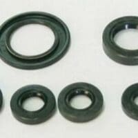 TOURMAX Oliekeerringset (motor)