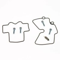 1003760-2-800Wx800H TOURMAX Carburateur revisie set