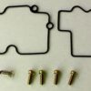 1003760-3-800Wx800H TOURMAX Carburateur revisie set
