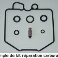 1003790-1-800Wx800H TOURMAX Carburateur revisie set