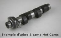 1019012-1-800Wx800H HOT CAMS Nokkenas - Stage 2 Polaris