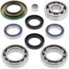 1039407-1-800Wx800H ALL BALLS Differentieel lager & Keerringset achterzijde Can Am