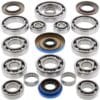 1039415-1-800Wx800H ALL BALLS Differentieel lager & Keerringset achterzijde Polaris