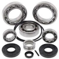 1039418-1-800Wx800H ALL BALLS Differentieel lager & Keerringset achterzijde Kawasaki KRF TERYX 750