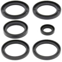 1039421-1-800Wx800H ALL BALLS Differentieel keerringset