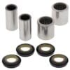 1039639-1-800Wx800H ALL BALLS Achterbrug lagerset