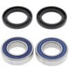 ALL BALLS wiellager set