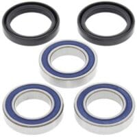 1039795-1-800Wx800H ALL BALLS Achterwiellager set