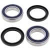 1039796-1-800Wx800H ALL BALLS Achterwiellager set