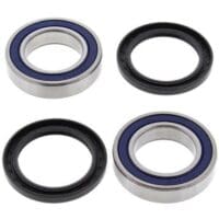 1039796-1-800Wx800H ALL BALLS Achterwiellager set