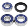 ALL BALLS Achterwiellager set Honda