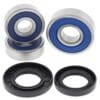 ALL BALLS Achterwiellager set Honda CB600F Hornet