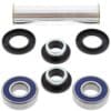 1039991-2-800Wx800H ALL BALLS Achterwiellager set