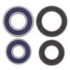 1039993-1-800Wx800H ALL BALLS Voorwiellager set