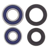 1039993-1-800Wx800H ALL BALLS Voorwiellager set