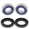 1040040-1-800Wx800H ALL BALLS Voorwiellager set Honda CB600F Hornet