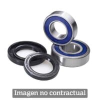 1040761-1-800Wx800H ALL BALLS Wheel Bearing Kit