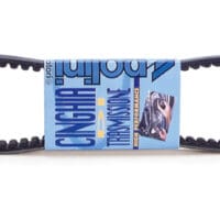 1042546-1-800Wx800H POLINI Standard V-snaar
