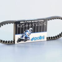 1044745-1-800Wx800H POLINI Standard V-snaar