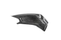 LIGHTECH achterbrugcarter glanzend carbon BMW S1000R