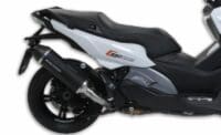 1072755-1-800Wx800H MALOSSI Wild Lion Geluiddemper - metal magic BMW C650 Sport