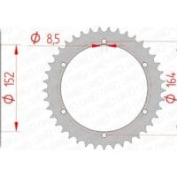 1074442001-1-800Wx800H AFAM Staal standaard achtertandwiel 12502 - 520