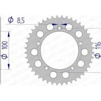 1074594001-1-800Wx800H AFAM Aluminium achtertandwiel 17100 420