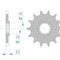 AFAM Staal standaard voortandwiel 22505 - 520