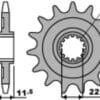 PBR Staal standaard voortandwiel 2207 - 520