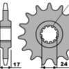 PBR Staal standaard voortandwiel 295 - 530