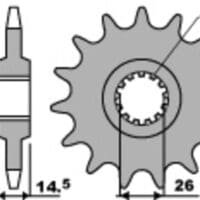 1077665001-1-800Wx800H PBR Staal standaard voortandwiel 330 - 630