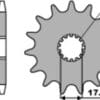 1077761005-2-800Wx800H PBR Staal standaard voortandwiel 577 - 428