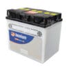 TECNIUM Accu Conventioneel met zuurpakket - 52515