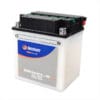 TECNIUM Accu Conventioneel met zuurpakket - BB30CL-B