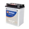 TECNIUM Accu Conventioneel met zuurpakket - BB14-A2