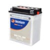 TECNIUM Accu Conventioneel met zuurpakket - BB14L-B2