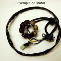 1077975-1-800Wx800H ELECTROSPORT Dynamo - Suzuki RM125/250