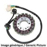 1078049-1-800Wx800H ELECTROSPORT Dynamo - Suzuki SV1000