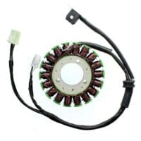 1078114-1-800Wx800H ELECTROSPORT Dynamo - Triumph 675