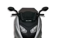 1084783001-1-800Wx800H MALOSSI Sport Windscherm - smoke BMW C600