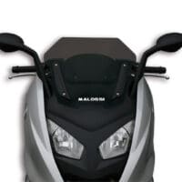 MALOSSI Sport Windscherm - smoke BMW C600