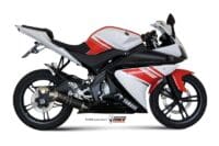 1088205001-2-800Wx800H MIVV GP Compleet uitlaatsysteem - Yamaha YZF-R 125