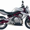 SLIP-ON X-CONE INOX VERFULL SYS 650