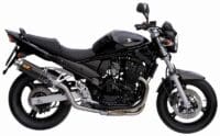 SLIP-ON OVAL CARB GSF 650 BANDIT
