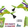 1091583-1-800Wx800H TECNOSEL Stickers Kit Team Kawasaki 1998