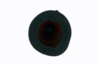 1098947-2-800Wx800H TWIN AIR Luchtfilter voor PowerFlow kit 793552 - 153216FR Suzuki RM-Z250/450